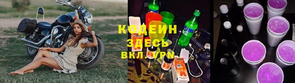 МДПВ Пересвет