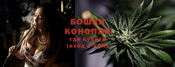 МДПВ Пересвет