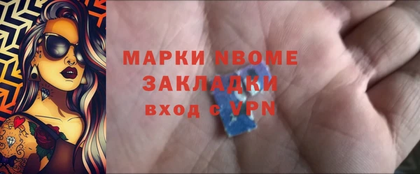 МДПВ Пересвет