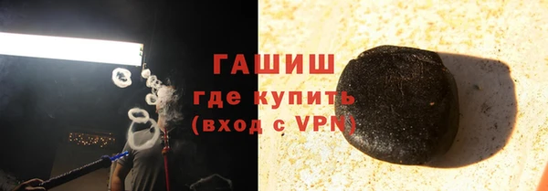 МДПВ Пересвет
