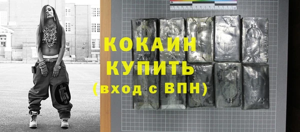 МДПВ Пересвет