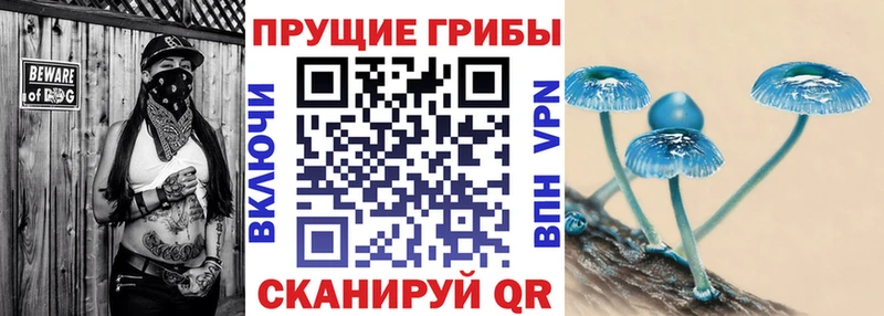 Галлюциногенные грибы Cubensis  Кадников 